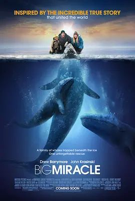 鲸奇 Big Miracle(超清4K电影)-2012年-豆瓣评分:7.5(夸克资源)鲸奇之旅(台) / 人人都爱鲸鱼 / 巨大奇迹(4KHDR杜比视界电影)
