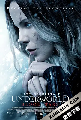黑夜传说5：血战 Underworld.Blood.Wars.2016.2160p.BluRay.HEVC.TrueHD.7….