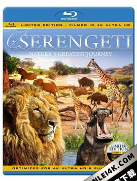 塞伦盖蒂:自然界最壮观的旅程 Serengeti.4K.Natures.Greatest.Jour…