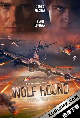 猎狼犬行动 Wolf.Hound.2022.2160p.WEB-DL.x265.10bit.SDR.DDP5.1