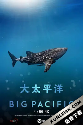 大太平洋 (2017) Big.Pacific.2017.S01.2160p.BluRay.REMUX.HEVC.SDR.DTS-HD.M…