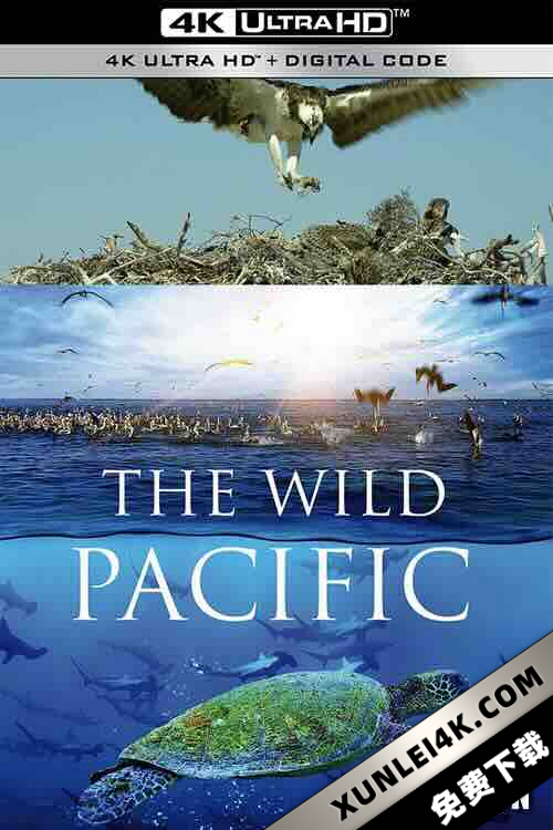 狂野太平洋 The Wild Pacific (2016) / 4K纪录片下载 / The.Wild.Pacific.2015.DOCU.2160p.BluRay.REMUX.HEVC.DTS-HD.MA.5.1-FGT