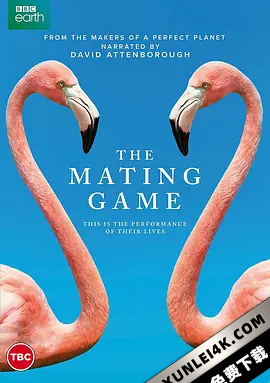 求偶游戏 The Mating Game
