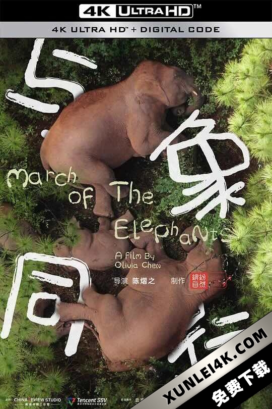 与象同行 (2022) March of the Elephants