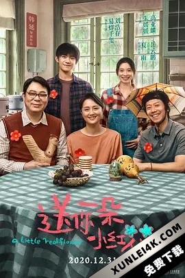 送你一朵小红花 A.Little.Red.Flower.2020.2160p.WEB-DL.120FPS.H265.AAC-O…