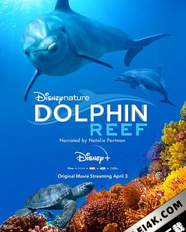 海豚礁 Dolphin Reef (2020) / Disneynature: Dolphin Reef / Dolphin.Reef.2020.HDR.2160p.WEB.H265-SECRECY