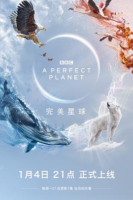 完美星球 A Perfect Planet(4KHDR电影下载)-2021年-9.6豆瓣评分-(夸克资源)null(4K杜比视界下载)