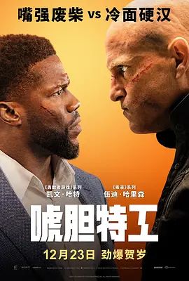 唬胆特工 The Man from Toronto(超清4K电影)-2022年-豆瓣评分:6.1(夸克资源)来自多伦多的男人 / 多伦多来的男人 / 换命大龙凤(港) / 玩命大临演(台)(4KHDR杜比视界电影)