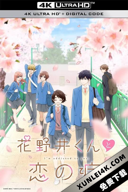 花野井君和相思病 花野井くんと恋の病 (2024) 花野井同学的恋爱病