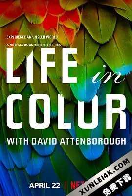 生命之色 Attenboroughs.Life.in.Colour.S01.2160p.WEBRip.x265.10bit.HDR.HLG…