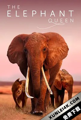 大象女王 The.Elephant.Queen.2019.HDR.2160p.WEB.h265-NiXON