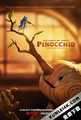 匹诺曹 Pinocchio (2022) / 木偶奇遇记(港 / 台) / Pinocchio.2022.2160p.DSNP.WEB-DL.x265.10bit.HDR.DDP5.1.Atmos-KOGi