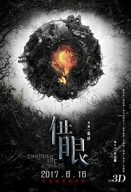 借眼(4KHDR电影下载)-2017年-3.6豆瓣评分-(夸克资源)隐之爱人,Through The Eye(4K杜比视界下载)