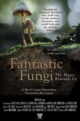 神奇的真菌 Fantastic Fungi(超清4K电影)-2019年-豆瓣评分:7.2(夸克资源)无别名(4KHDR杜比视界电影)
