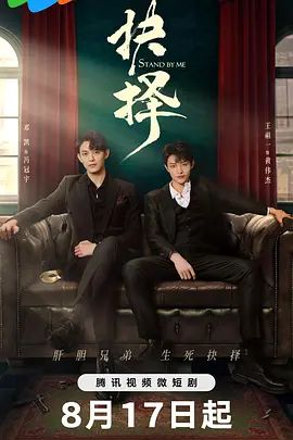 抉择(超清4K电影)-2023年-豆瓣评分:(夸克资源)Stand By Me(4KHDR杜比视界电影)
