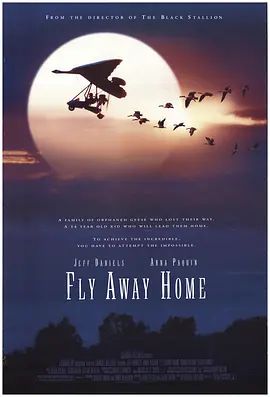 伴你高飞 Fly Away Home(4KHDR电影下载)-1996年-8.8豆瓣评分-(夸克资源)返家十万里 / 飞向故乡 / 回南(4K杜比视界下载)