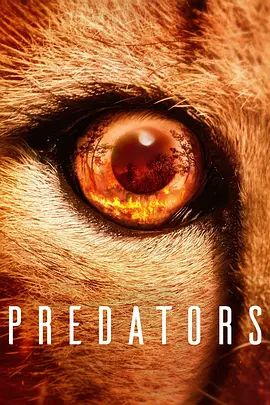 食肉动物 Predators(超清4K电影)-2022年-豆瓣评分:7.9(夸克资源)Predators – Jäger in Gefahr(德) / 捕食者の世界(日) / Predadores do Mundo Animal(巴西)(4KHDR杜比视界电影)