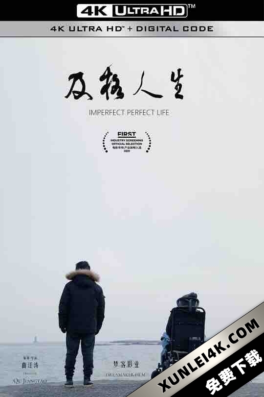 及格人生 (2021) / Imperfect Perfect Life / 4K电影下载 / Imperfect.Perfect.Life.2021.2160p.WEB-DL.H265.AAC