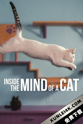 喵星人的奇思妙想 / Inside.the.Mind.of.a.Cat.2022.2160p.NF.WEB-DL.x265.10bit.HDR.DDP5.1-KKKK