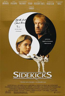 无敌战将 Sidekicks