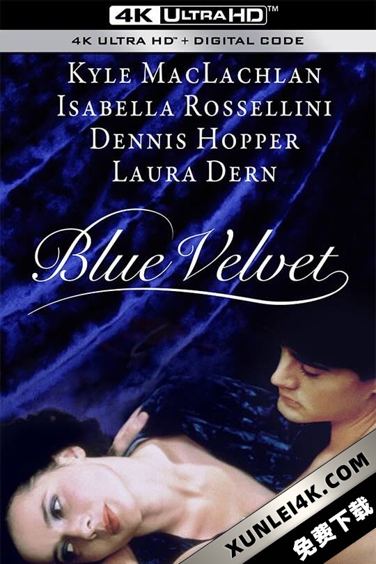 蓝丝绒 Blue Velvet (1986) 蓝色夜合花(港) / 蓝色天鹅绒