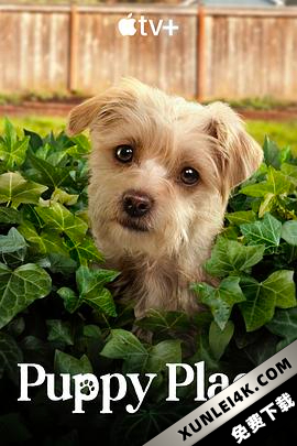 狗狗天地 第二季 Puppy.Place.S02.2160p.ATVP.WEB-DL.DDP5.1.Atmos.DV.MKV….