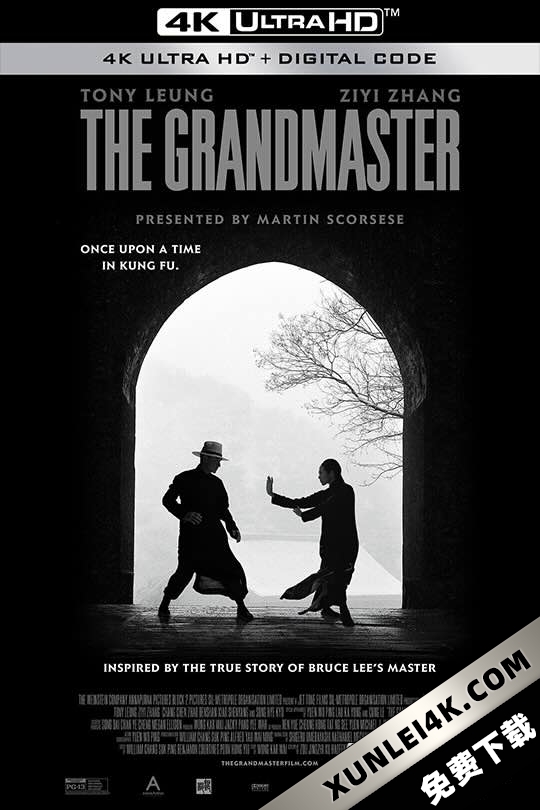 一代宗师 一代宗師 (2013) 一代宗师3D/一代宗师终极版/The Grandmaster
