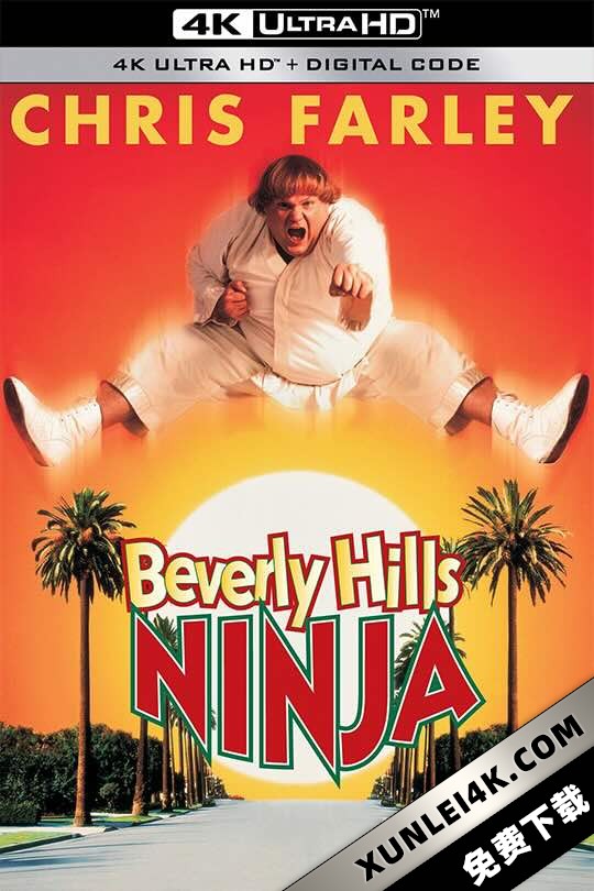 比佛利武士 Beverly Hills Ninja (1997) 比佛利山威龙(台)