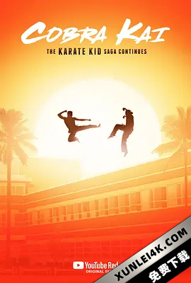 眼镜蛇 第一季 Cobra.Kai.S01.2160p.NF.WEB-DL.x265.10bit.SDR.DDP5.1