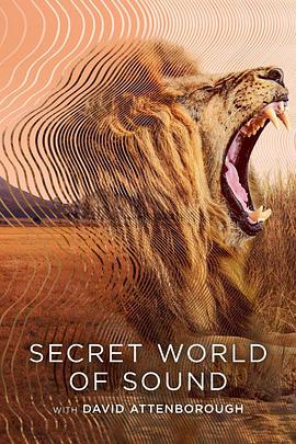 大卫·艾登堡:大自然的声音 Secret World of Sound with David Attenborough(4KHDR电影下载)-2024年-8.4豆瓣评分-(夸克资源)自然之声(4K杜比视界下载)
