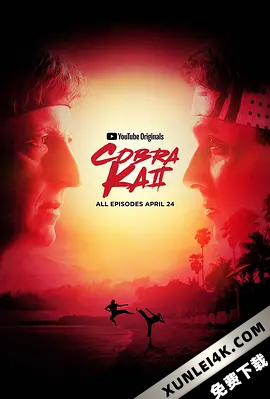 眼镜蛇 第二季 Cobra.Kai.S02.2160p.NF.WEB-DL.x265.10bit.SDR.DDP5.1