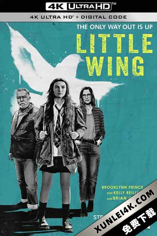 小翅膀 Little Wing (2024) / 4K电影下载 / Little.Wing.2024.HDR.2160p.WEB.H265