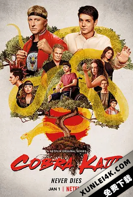 眼镜蛇 第三季 Cobra.Kai.S03.2160p.NF.WEB-DL.x265.10bit.SDR.DDP5.1