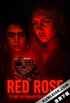 红玫瑰 Red Rose