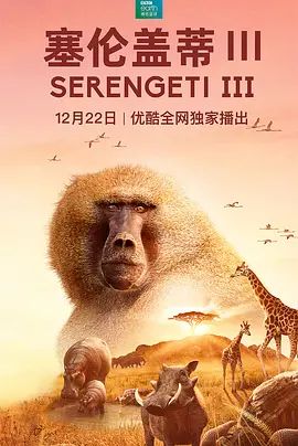 塞伦盖蒂 第三季 Serengeti Season 3(超清4K电影)-2022年-豆瓣评分:9.0(夸克资源)Serengeti III(4KHDR杜比视界电影)