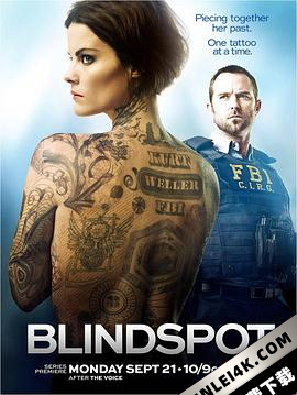 盲点 1-5季 Blindspot Season 1-5 (2015-2020) / Blindspot.S01.1080p.BluRay.REMUX.AVC.DTS-HD.MA.5.1-NOGRP[rartv]