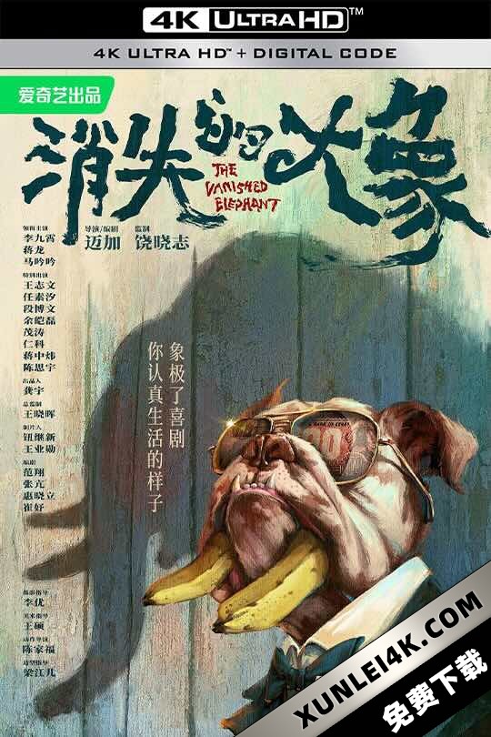 消失的大象