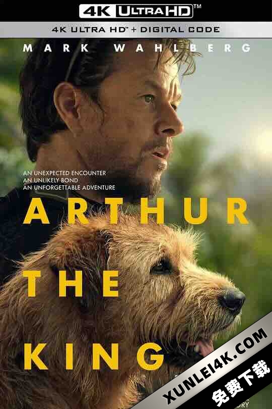 冠军亚瑟 Arthur the King (2024) / 极限长征(台) / 铁人狗狗(港) / 4K电影下载 / Arthur.the.King.2024.HDR.2160p.WEB.h265