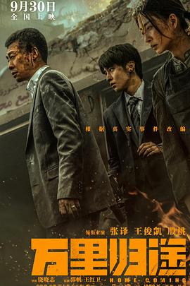万里归途(4KHDR电影下载)-2022年-7.2豆瓣评分-(夸克资源)翻译官,Home Coming(4K杜比视界下载)