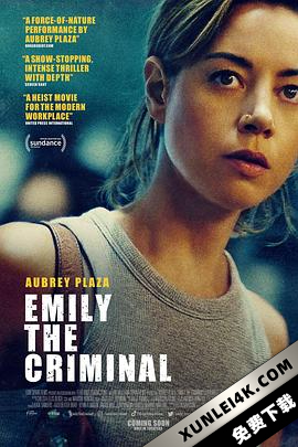 罪犯艾米丽 / Emily.the.Criminal.2022.2160p.WEB-DL.x265.10bit.SDR.DDP5.1-NOGRP [