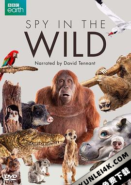 荒野间谍(纪录片) 1-2季 Spy in the Wild Season 1-2 (2017-2020) / 原野谍影 / Spy.In.The.Wild.S01-02.1080p.Bluray.Remux.AVC.DTS-HD MA -STaRGaZER