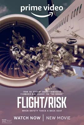 生死航班 Flight/Risk(超清4K电影)-2022年-豆瓣评分:7.2(夸克资源)飞行风险(4KHDR杜比视界电影)