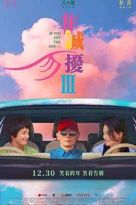非诚勿扰3(4KHDR电影下载)-2023年-5.4豆瓣评分-(夸克资源)征婚启事 / If You Are the One III(4K杜比视界下载)