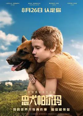 忠犬帕尔玛 Пальма(超清4K电影)-2021年-豆瓣评分:7.2(夸克资源)Palma / A Dog Named Palma(4KHDR杜比视界电影)