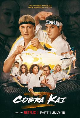 眼镜蛇 第六季 Cobra Kai Season 6(4KHDR电影下载)-2024年-豆瓣评分-(夸克资源)眼镜蛇最终季,眼镜蛇道馆(4K杜比视界下载)