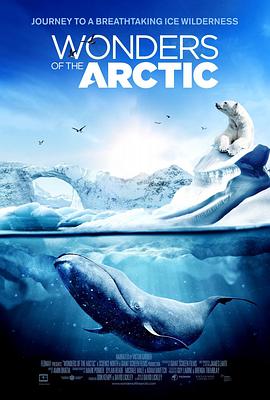 北极奇观 Wonders of the Arctic(4KHDR电影下载)-2014年-豆瓣评分-(夸克资源)奇幻冰極(港)(4K杜比视界下载)
