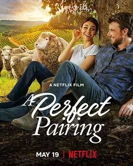 完美绝配 A Perfect Pairing(超清4K电影)-2022年-豆瓣评分:6.4(夸克资源)无别名(4KHDR杜比视界电影)