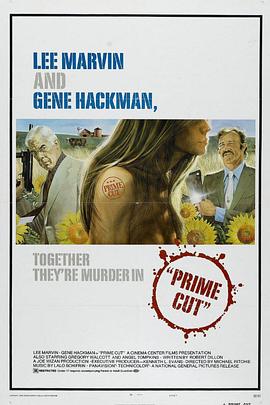 双龙大火拼 Prime Cut(4KHDR电影下载)-1972年-豆瓣评分-(夸克资源)火拼人肉场,大野双雄(4K杜比视界下载)