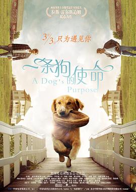 一条狗的使命 A Dog’s Purpose(4KHDR电影下载)-2017年-7.7豆瓣评分-(夸克资源)为了与你相遇(台),再见亦是狗朋友(港)(4K杜比视界下载)