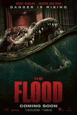 致命洪灾 The Flood(4KHDR电影下载)-2023年-3.3豆瓣评分-(夸克资源)null(4K杜比视界下载)